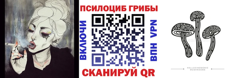 Псилоцибиновые грибы мухоморы  даркнет сайт  Салехард 